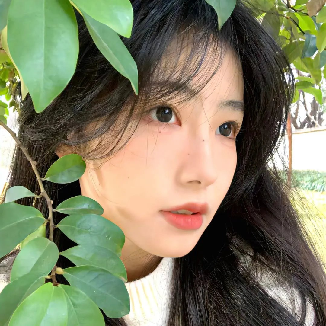 青柠男女第二季